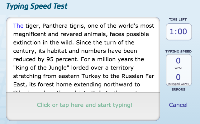 english typing test essay